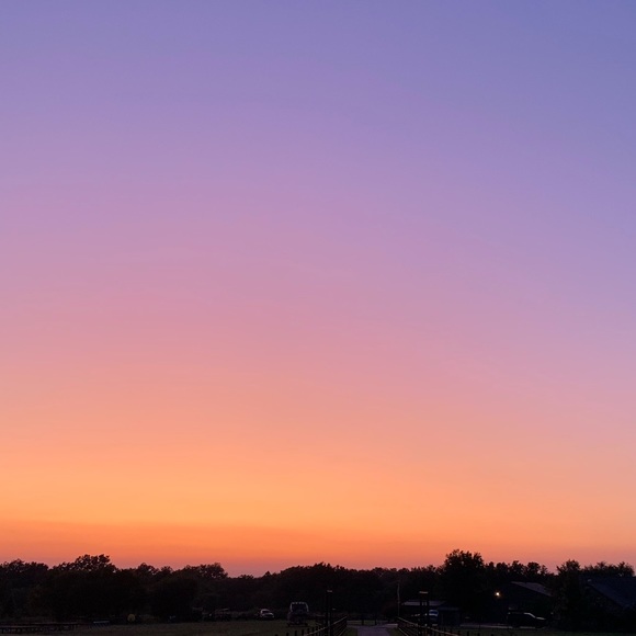 Meet your Posher, Lynn - Picture 1 of 1